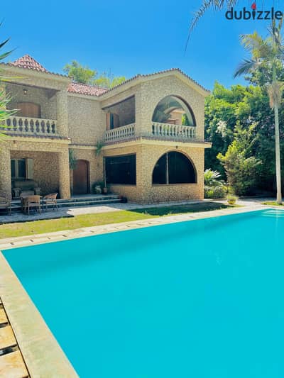 الاسكندرية في كينج مريوط