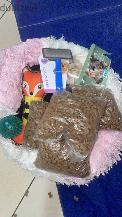 مجموعة اكسسوارات للكلاب