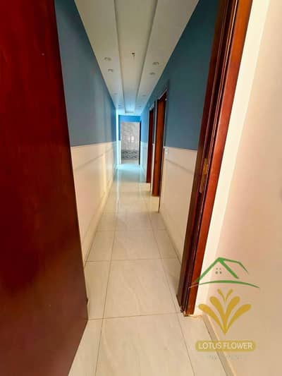 Apartment prime location in Al Lotus neighborhood - luxurious finishing