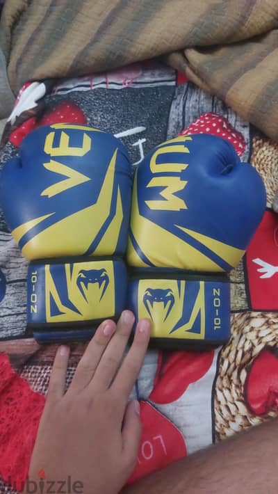 gloves venum , شنكار