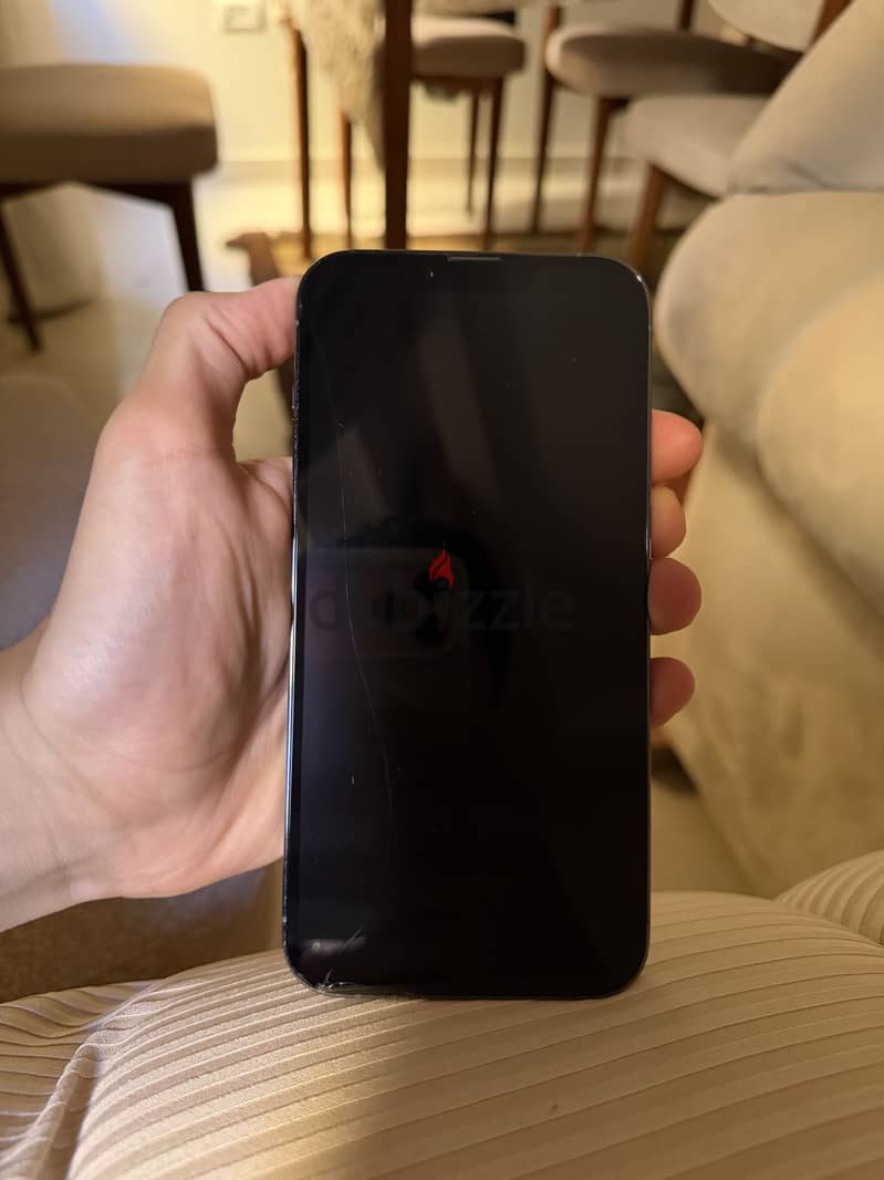Apple - iPhone 13 Pro Max 1