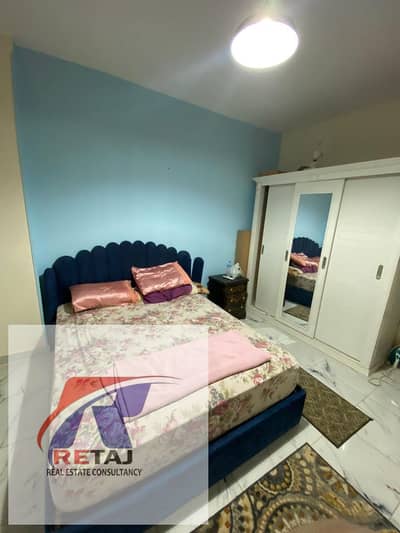 Furnished Apartment for Rent | Super Lux | South Investors