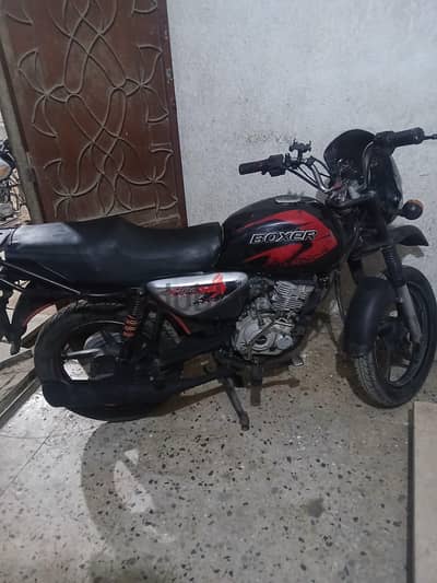 boxer x 2019 اربعه غيار