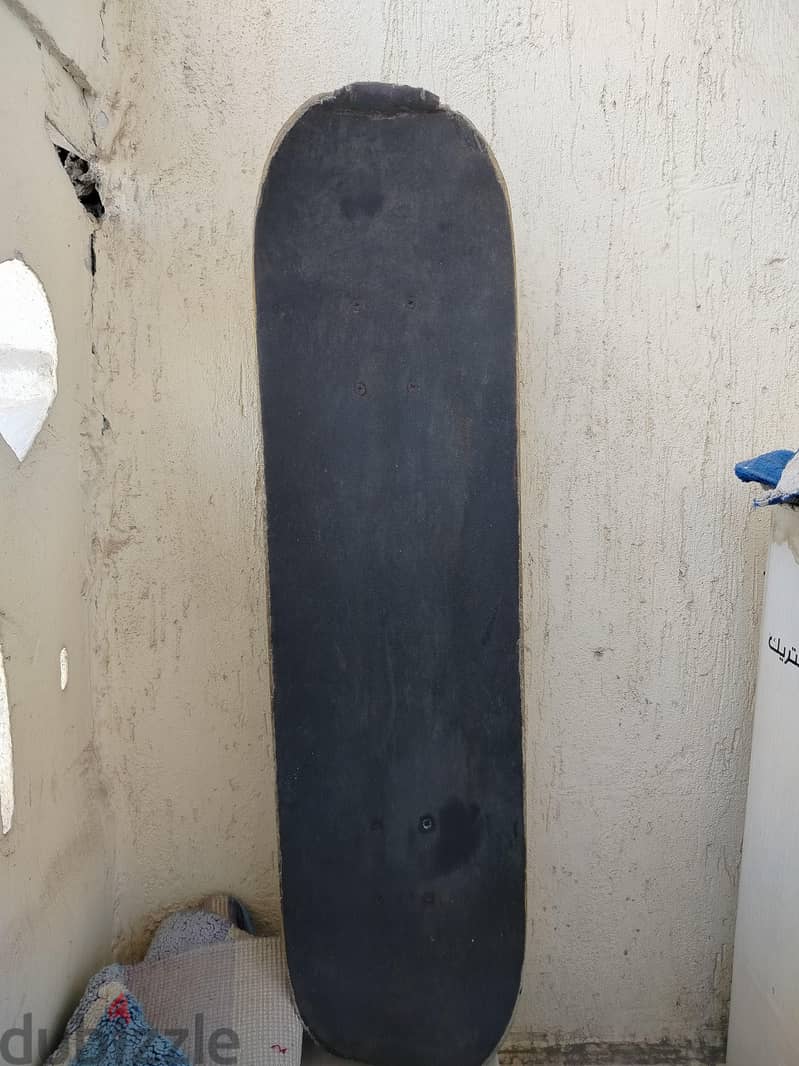 skate board mirror 1