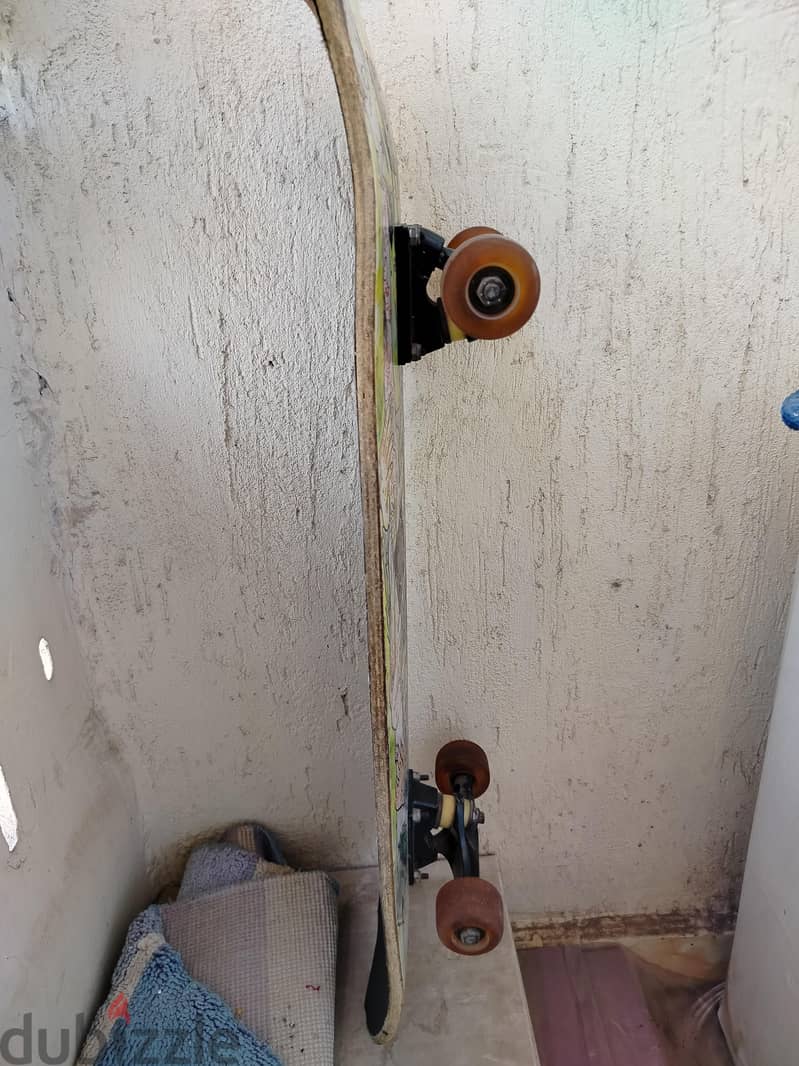 skate board mirror 2