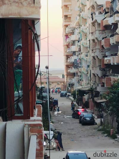 شقه للبيع بالإسكندرية العجمي شطي النخيل ٦اكتوبر الكيلو ٢١ اسكندرية مطروح