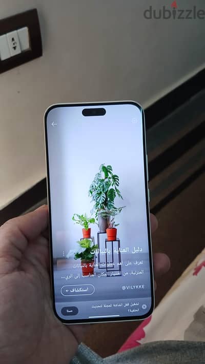 تكنو بوفاة سليم