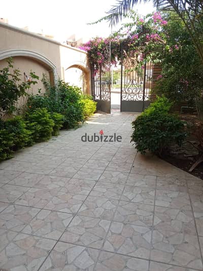 Apartment for Rent in Sheikh Zayed – District 16, First Neighborhood