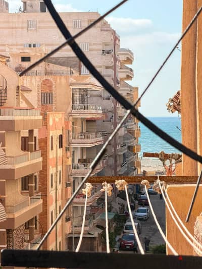 شقه للبيع بالإسكندرية العجمي شطي النخيل ٦اكتوبر الكيلو٢١ اسكندرية مطروح