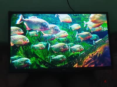 شاشه mg  مصرى 32 بوصه عاديه