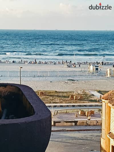 شقه مميزه للبيع بالإسكندرية العجمي شطي النخيل ٦اكتوبر الكيلو ٢١ اسكندرية مطروح