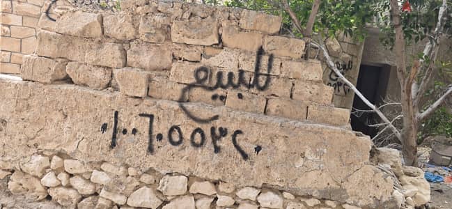 ارض ٤٧٠م البيطاش شهر العسل شارع زهران. واجهة ٢٢م ، صحة و نفاذ ضد املاك