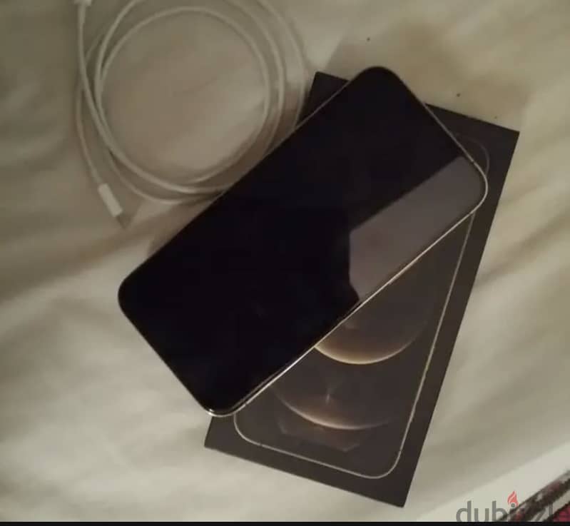 Apple - iPhone 12 Pro Max 1