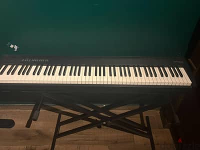 Roland FP-30X Electric Piano (88 Weighted Keys)