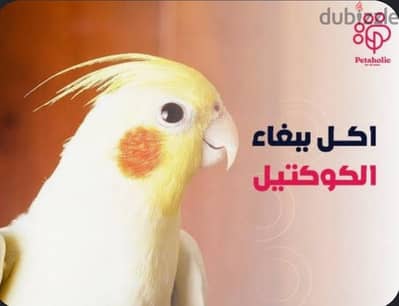متوفر لفتره محدوده خلطه طيور