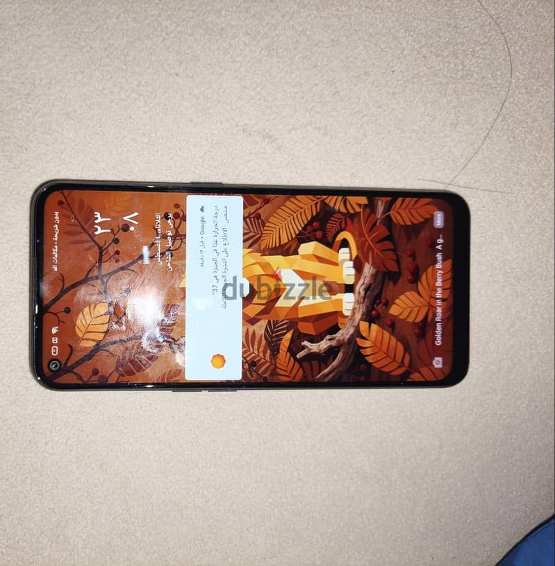 OPPO Other Model 2
