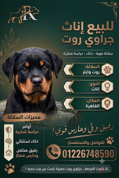 نهايه ٣٥ يوم روت وايلر
