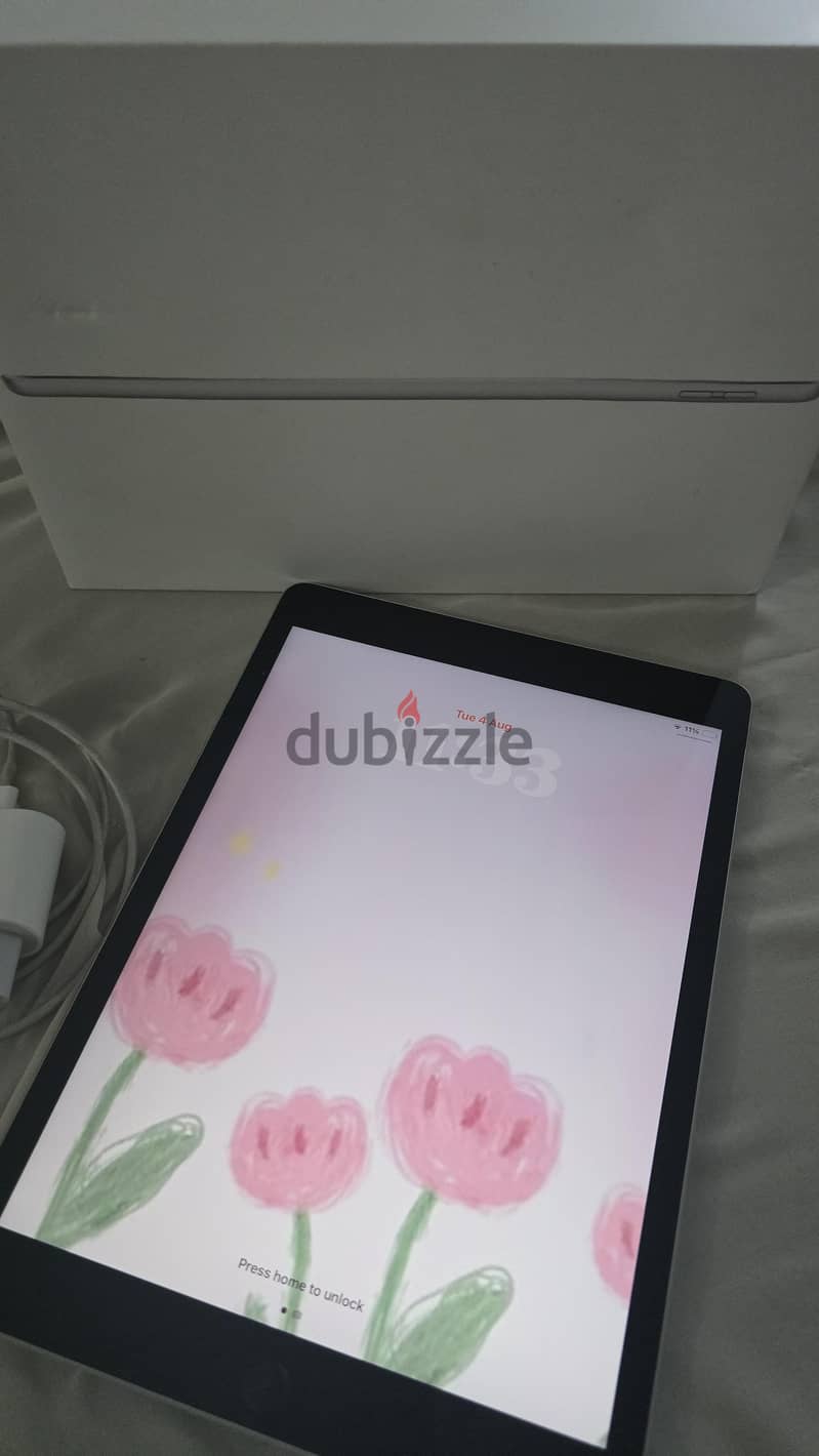 ipad 9 1