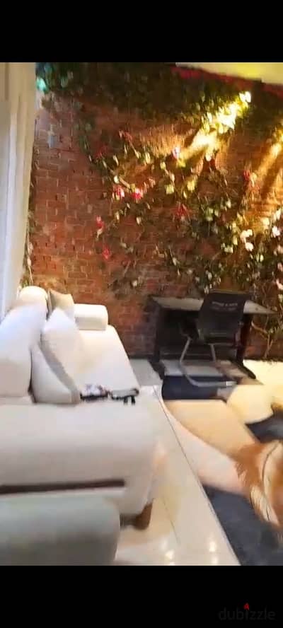 Furnished studio apartment for rent in Sheikh Zayed district 8