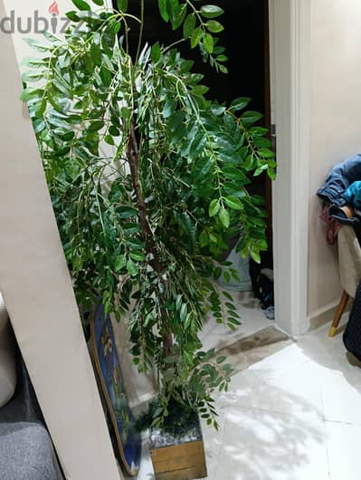 شجرة طولها 120سم بلاستيك للديكور