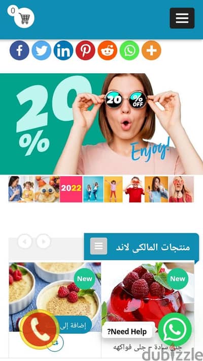 تطوير وتصميم المواقع الألكترونية والبرامج والتطبيقات واستضافة المواقع