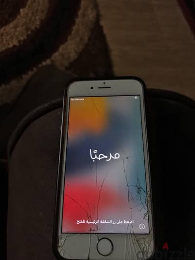 كفر الشيخ