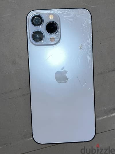 iPhone 13 Pro Max
