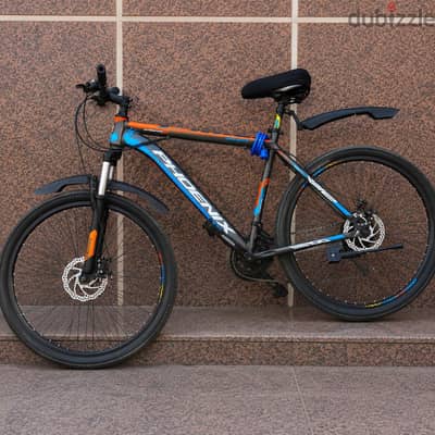 bike phoenix 26100