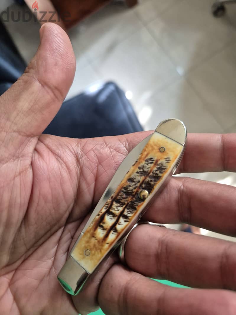 Case BoneStag mini Trapper 2