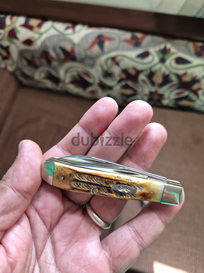 Case BoneStag mini Trapper 3