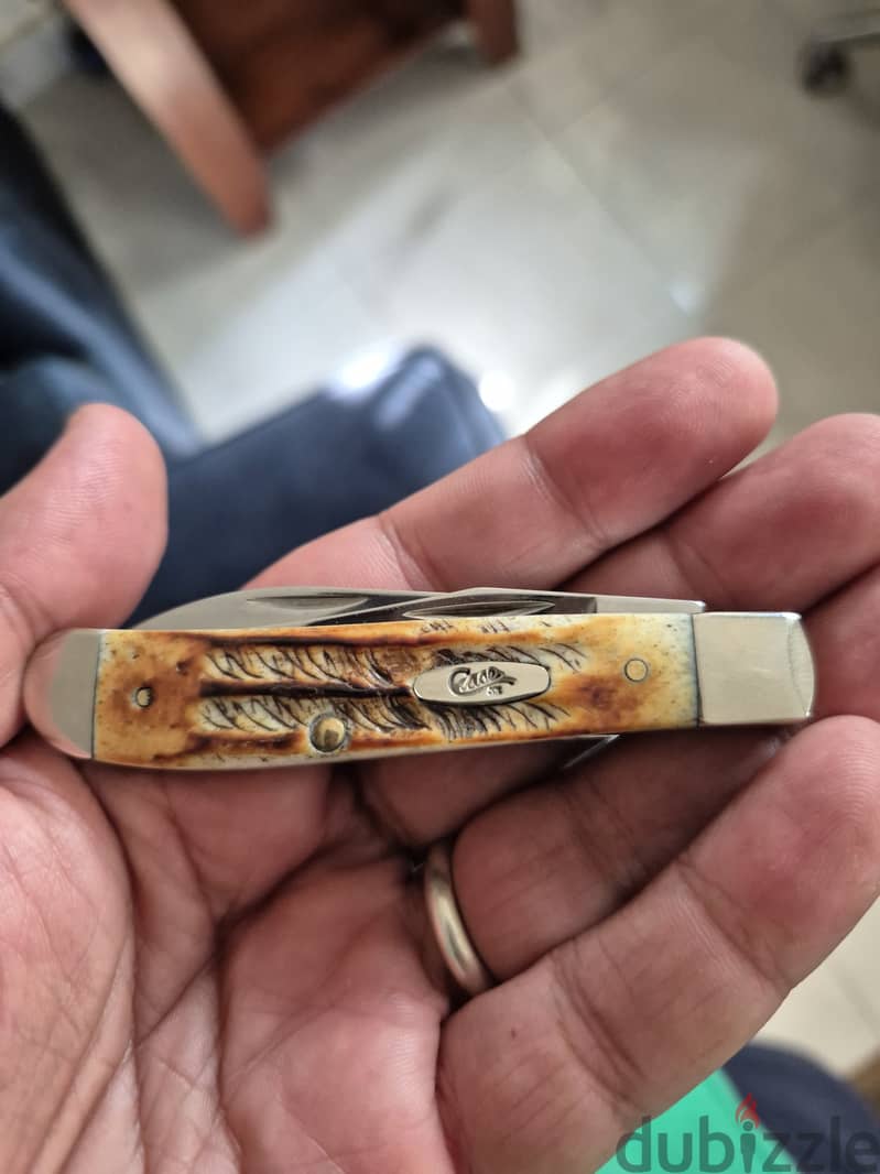 Case BoneStag mini Trapper 4