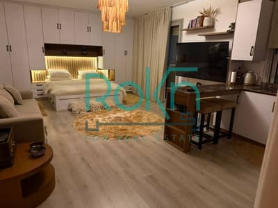 استوديو مفروش للإيجار في بالم باركس – Palm Parks