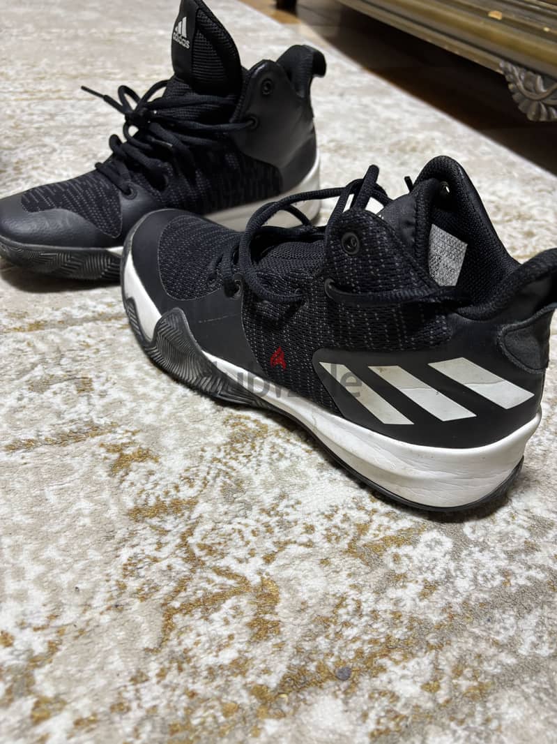 Adidas shoes 1