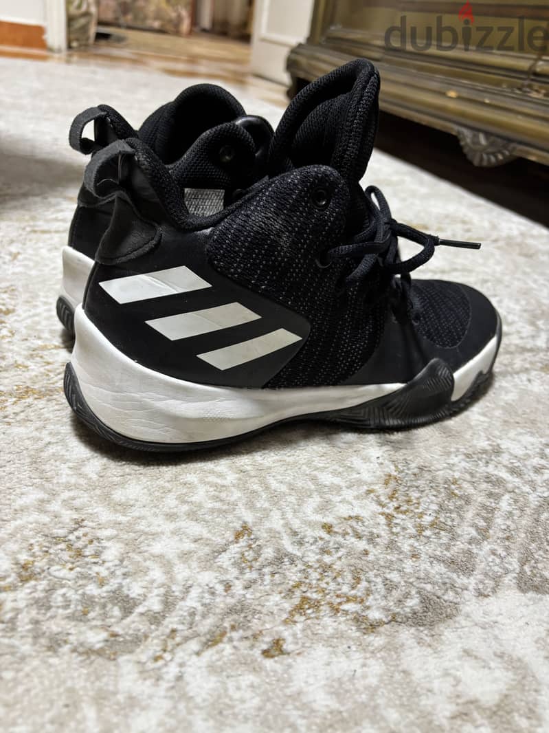 Adidas shoes 2