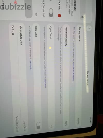 Apple IPad Pro M4 11 inch Used like new 100% battery health