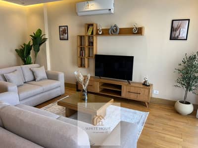 Luxury furnished apartment for rent in Eastown at a special price