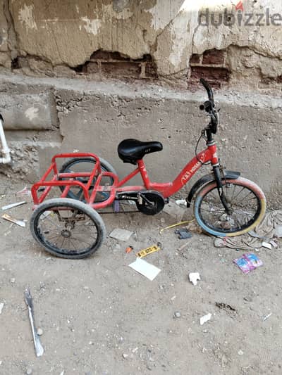حنطور مقاس 16