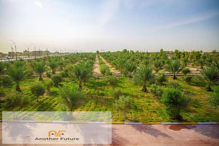 Land for sale 21,000 square meters (5 feddans) in the Green Belt Basin 2 Sheikh Zayed adjacent to Beverly Hills and Waslet Dahshur
