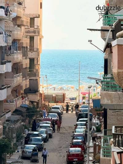 شقه للبيع بالإسكندرية العجمي شطي النخيل ٦اكتوبر الكيلو٢١ اسكندرية مطروح