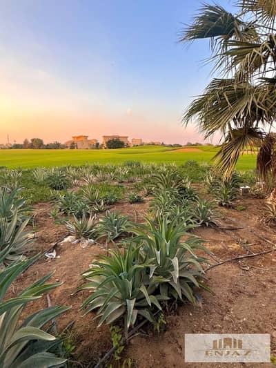 Luxury Villa for Sale in Madinaty – Type (T) | Direct Wide Garden View and  Land Area: 1,300 sqm