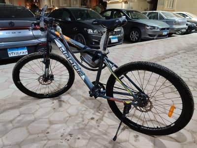 2024 bicycle