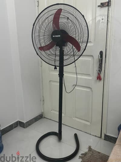 fresh fan