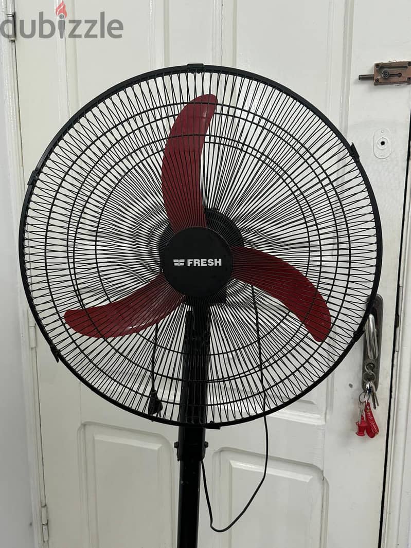 fresh fan 1