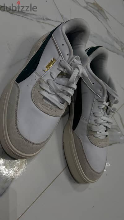Puma ca pro