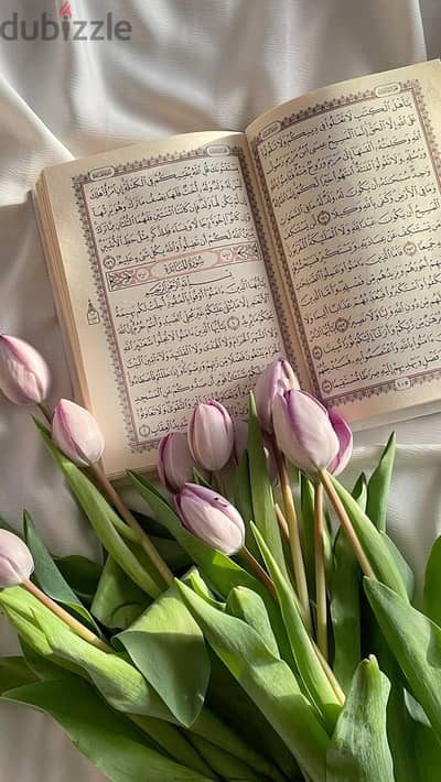 تحفيظ القرآن الكريم