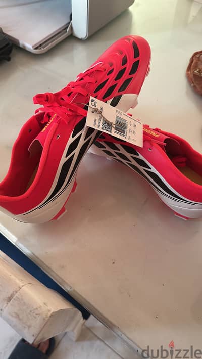 Adidas predator