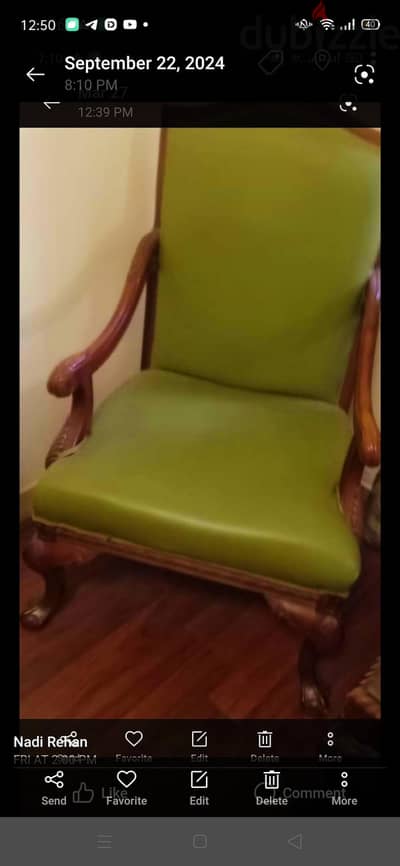 2بيرچير لوي كاتورز انتيك ، زان طبيعي وحفر، وفرس جلد طبيعي