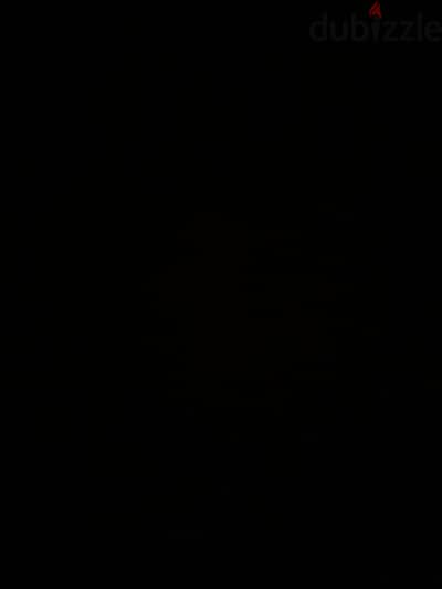 محتاج كلب تبنى