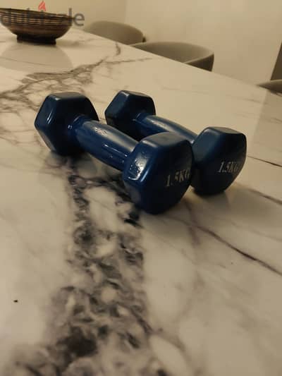 1.5kg dumbbells