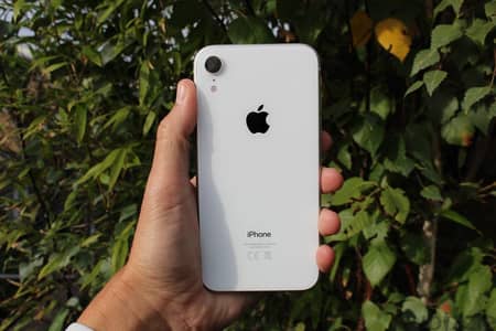 Iphone Xr مفيهوش خدش